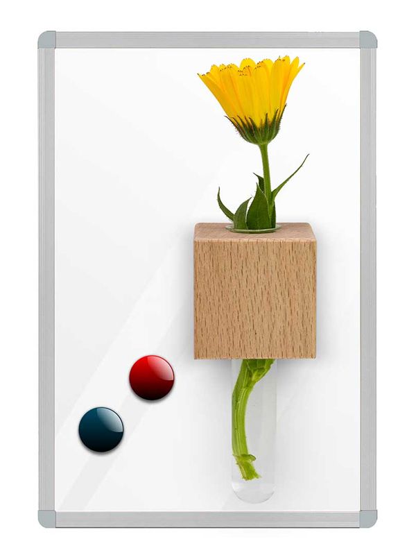 MINI VASO IN VETRO CON BASE IN LEGNO E CALAMITA